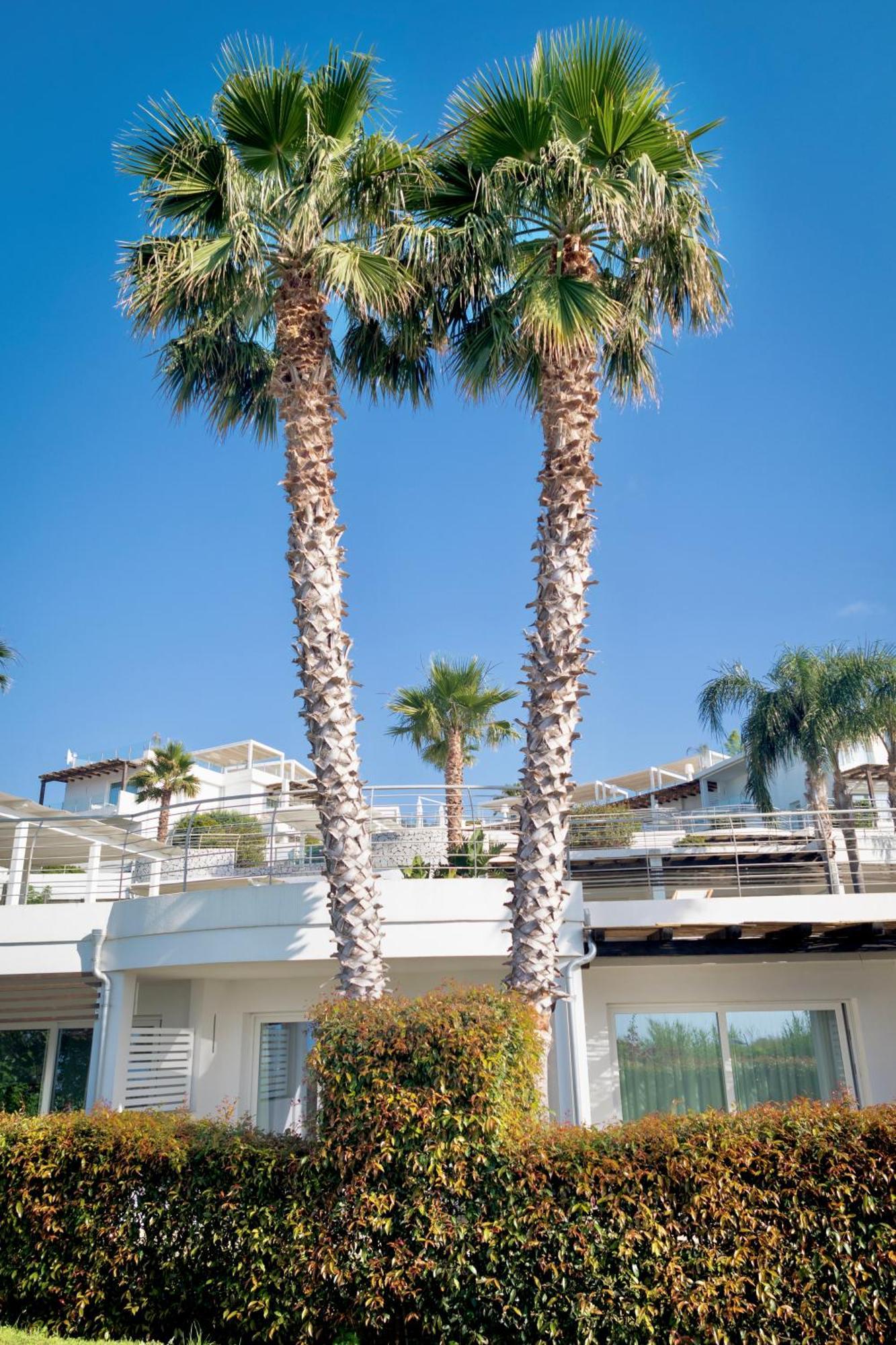 Infinity Resort Tropea Parghelia Εξωτερικό φωτογραφία